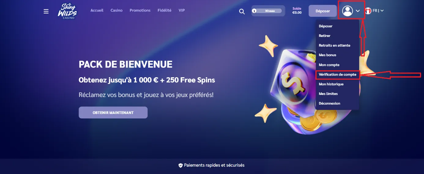 kyc étape 1 shiny wilds